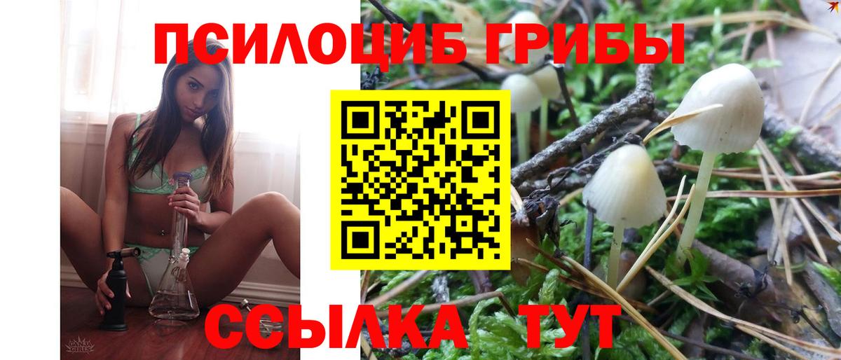 Троицк  Псилоцибиновые грибы Psilocybe  Галлюциногенные грибы Cubensis  Вход с VPN 